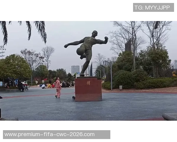 足球号码100的传奇故事与背后的梦想追逐之旅